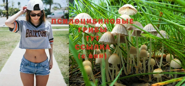 MESCALINE Гусиноозёрск