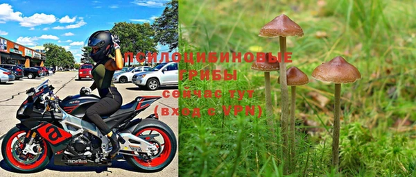 MESCALINE Гусиноозёрск