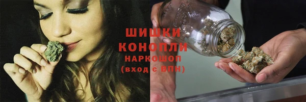 метадон Гусь-Хрустальный