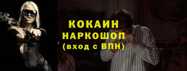 кокс Гусев