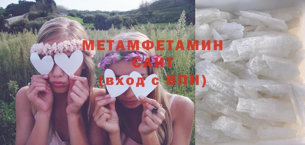 индика Новодвинск