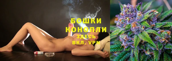 метадон Гусь-Хрустальный