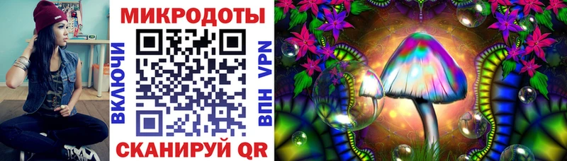 Купить закладки  Карачаевск  Галлюциногенные грибы Magic Shrooms 